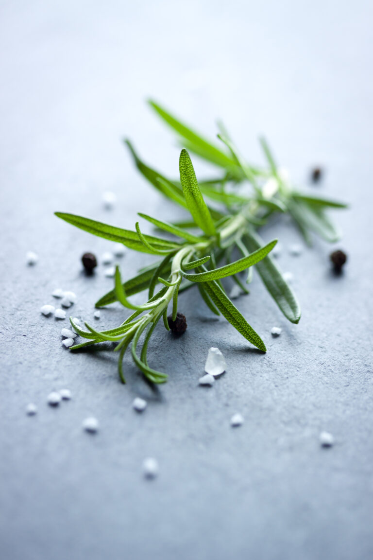 Rosemary with salt and pepper on light blue background